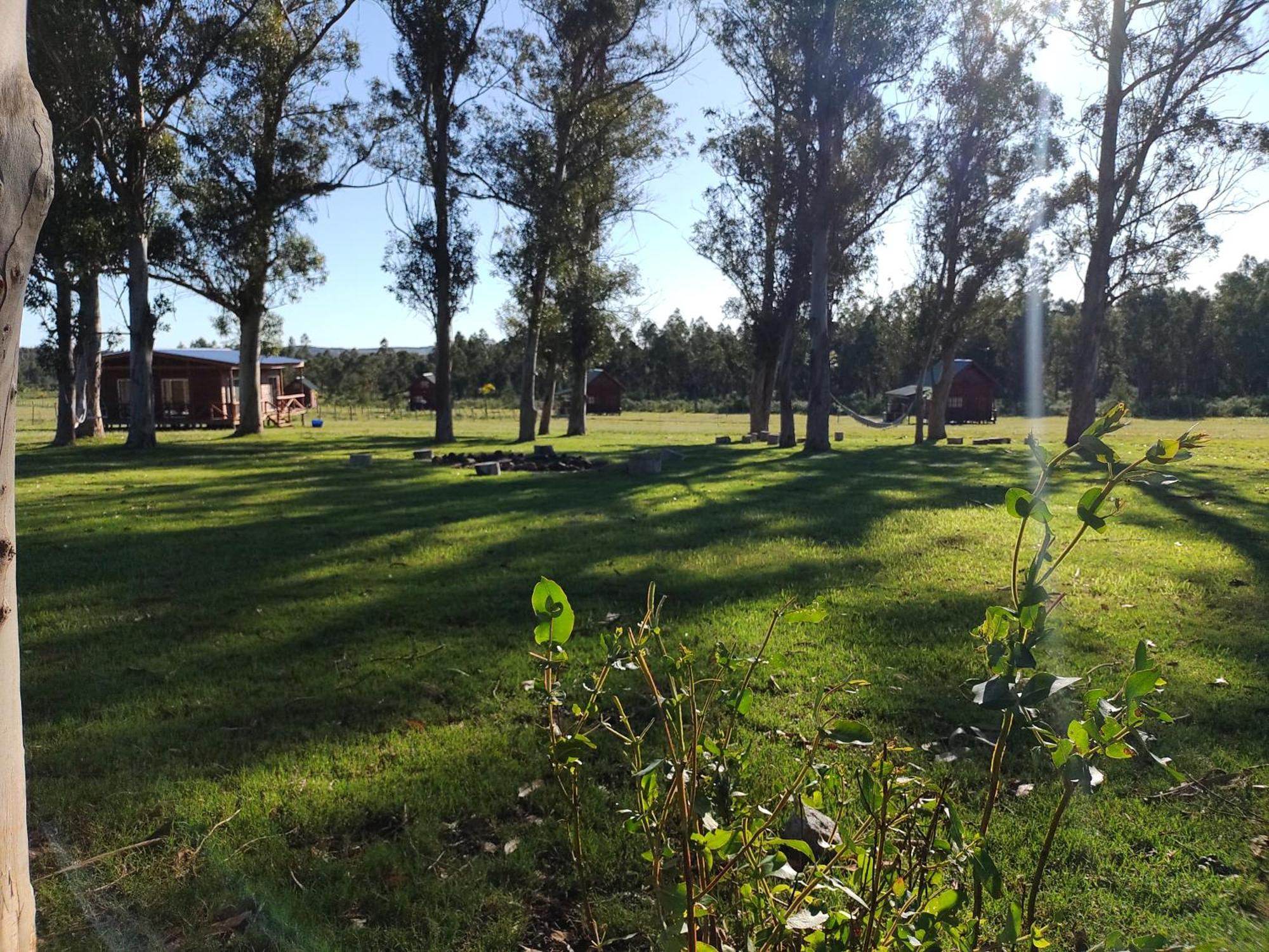 Centro Los Alamos Maldonado Bagian luar foto